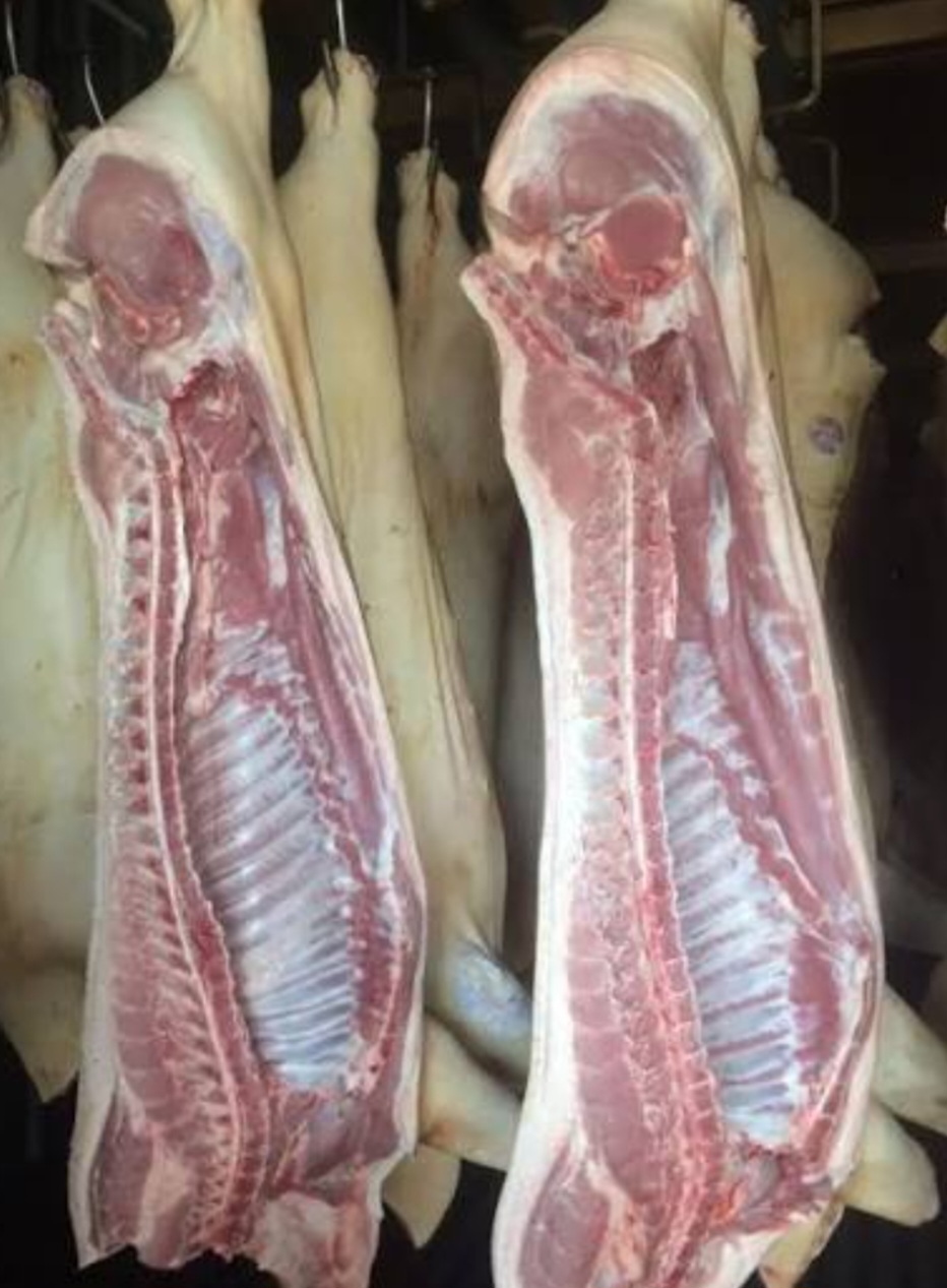 Туши свинини