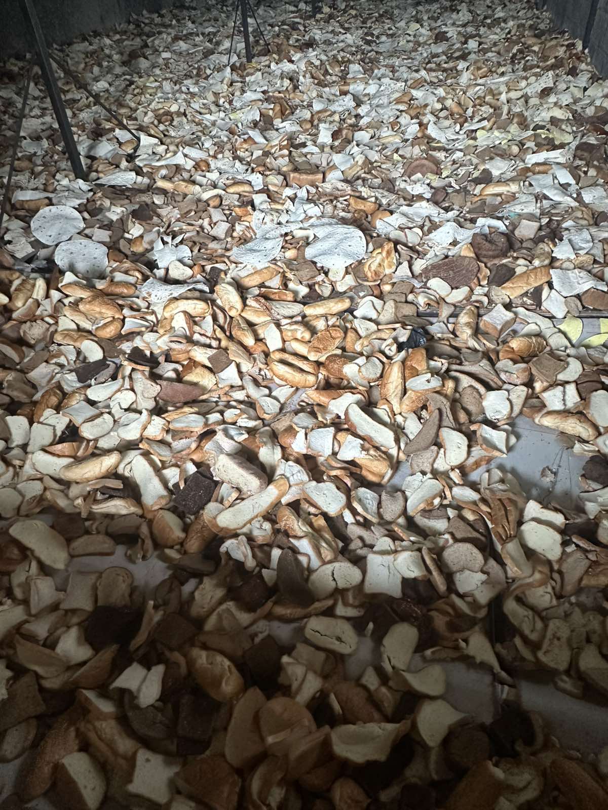 Корм для тварин